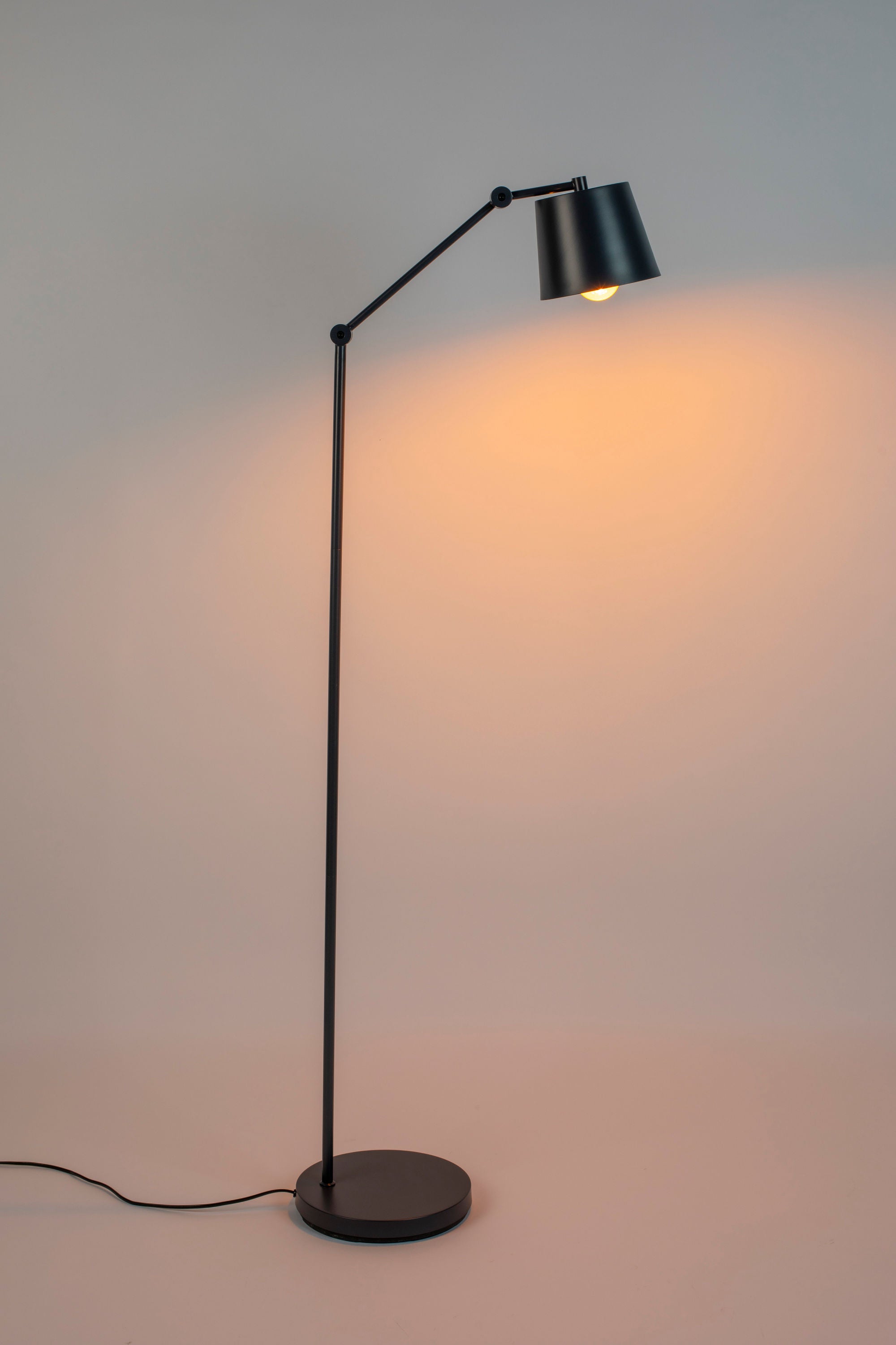 Hajo Black Iron Floor Lamp